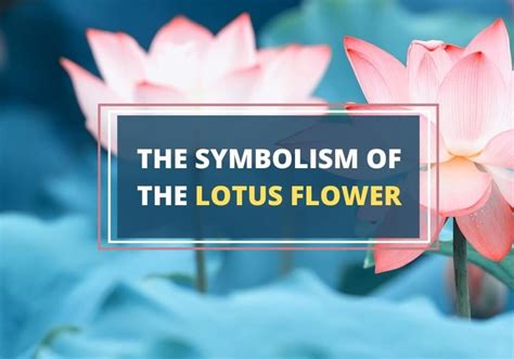 Lotus Blossom: Age, Early Life, Education