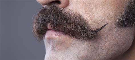 Maintaining a Well-Groomed Moustache: Expert Advice for an Impeccable Look