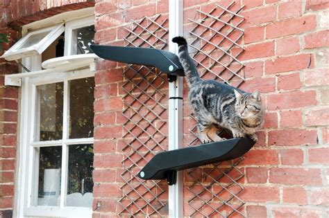 Maintenance and Care: Keeping Your Feline Climbing Area in Optimal Condition