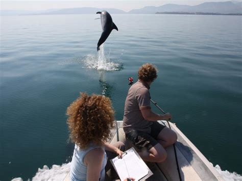 Making Waves: Responsible Tourism and Dolphin Conservation