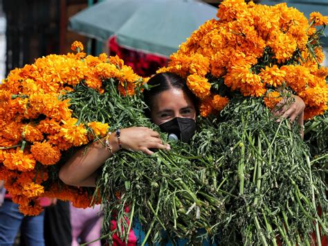 Marigolds in Day of the Dead Celebrations: Paying Tribute to Ancestors