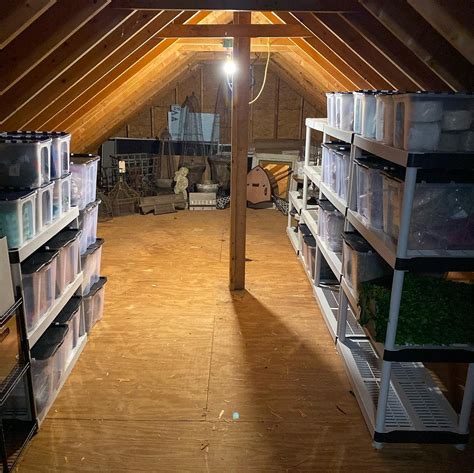 Mastering Storage Solutions: Organizing Your Attic in a Functional and Stylish Way