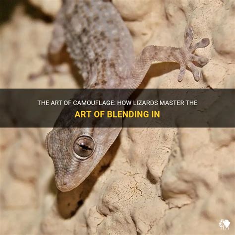 Masters of Camouflage: The Art of Blending In