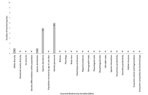 Measure of Martina Tasevska's Verticality