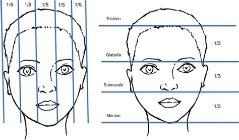 Measurements of Her Vertical and Horizontal Stature