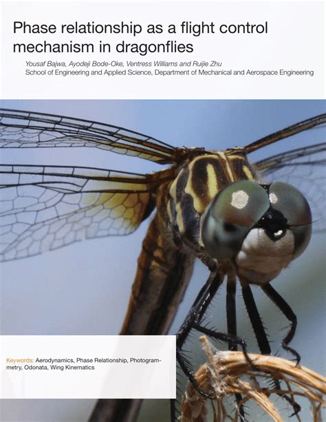 Mechanisms of Flight: Insights from Dragonflies