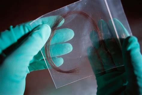 Modern Applications: The Role of Hair Collection in Forensic Investigations and DNA Analysis