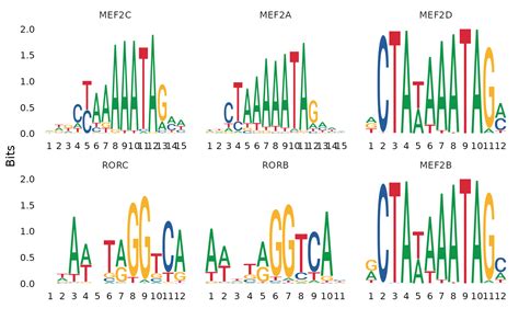 Motif Analysis: Movement in Dreams