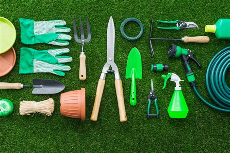 Must-Have Tools and Materials for a Thriving Vegetable Garden