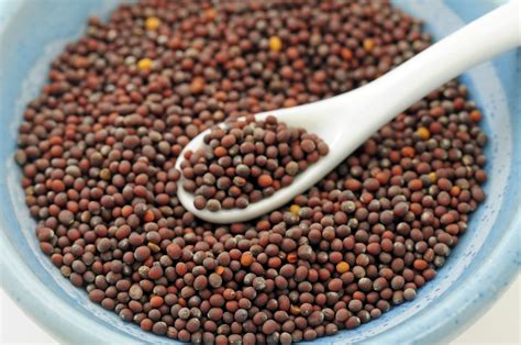 Mustard Seeds as a Symbol of Potential and Growth