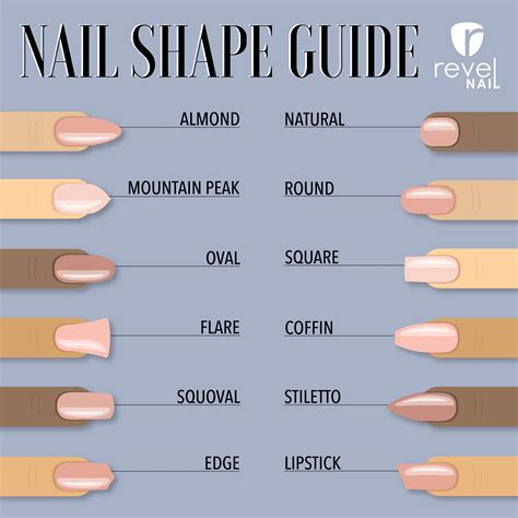 Nail Shape Guide: Finding Your Perfect Nail Shape