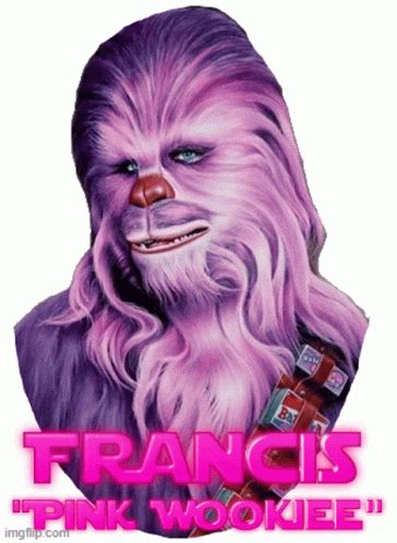 Name and Background of Pinkwookiee