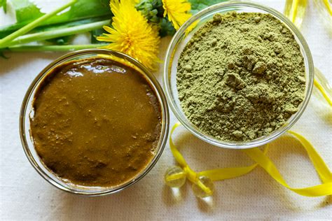 Natural Ingredients: Understanding the Herbal Elements of Henna Paste