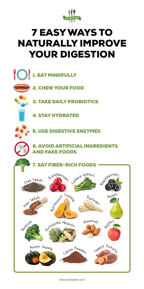 Natural Ways to Promote Digestive Well-being