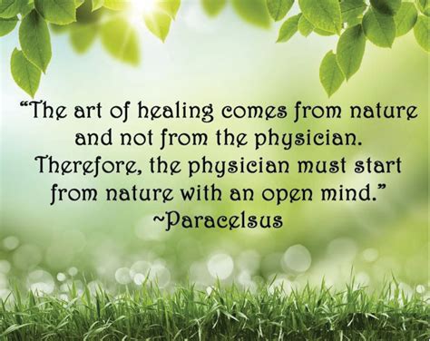 Nature's Healing Power: Nurturing the Soul through Environmental Connection