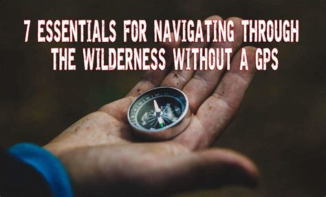 Navigating the Wilderness: Finding Your Path to Safety