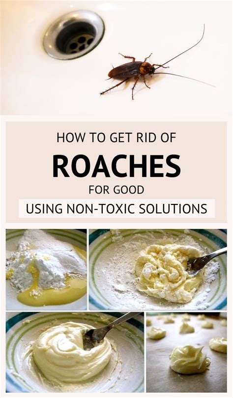 Non-Chemical Approaches to Combatting Roach Infestations