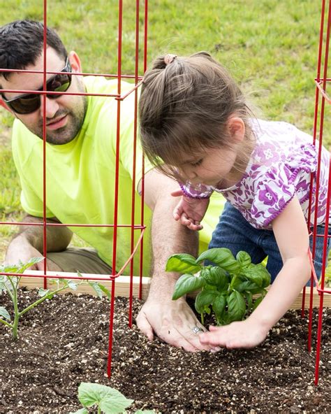 Nurturing Your Seedlings: Key Tips for a Thriving Garden