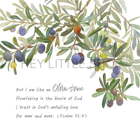 Olive Trees in Religious Texts and Mythology