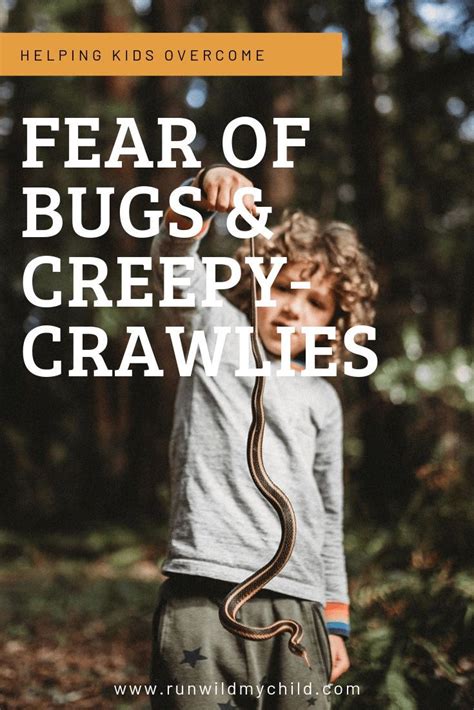 Out of the Shadows: Inspiring Stories of Individuals Who Overcame Their Fear of Creepy Crawlies