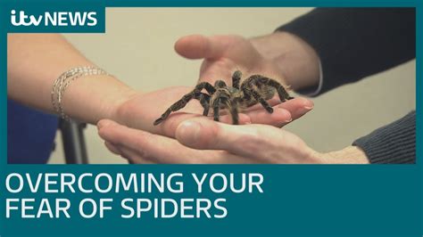 Overcoming Fear and Anxiety from Spider Dreams: Practical Tips