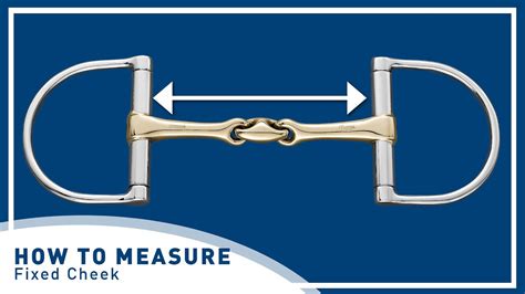 Overview of Fiona Cheeks' Measurement