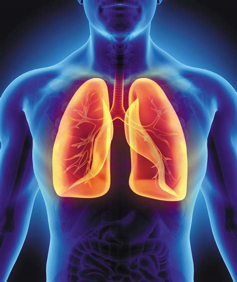 Oxygen and the Respiratory System: Lung Health and Breathing Disorders