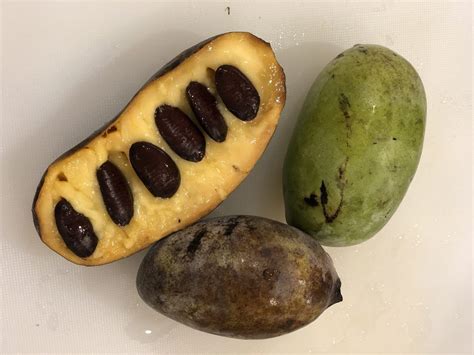 Pawpaw: A Versatile Fruit for Savory Dishes