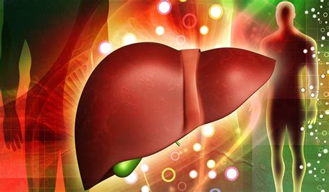 Paying Attention to Your Liver: Understanding Dreams about this Essential Organ