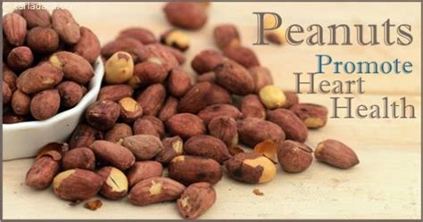 Peanuts as a Heart-Healthy Snack: Understanding the Link