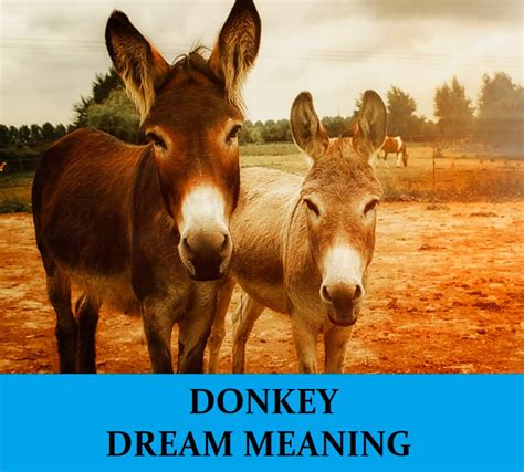 Personal Connections: Exploring the Reflections of Your Inner Self through the Dream Donkey Ride