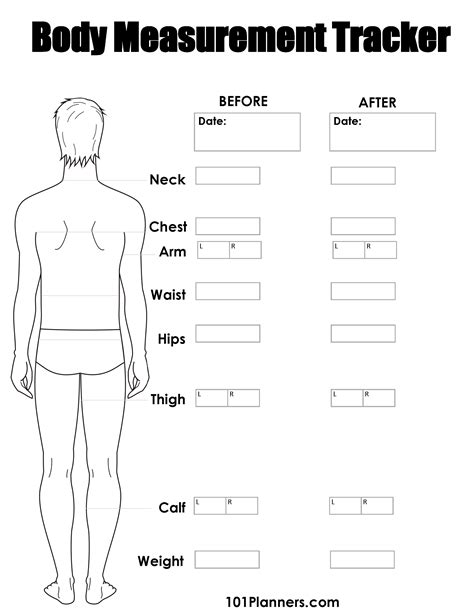 Personal Details and Body Measurements