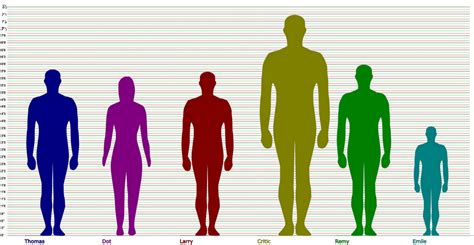 Personal Information: Years, Tallness, and Shape