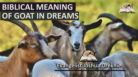 Personal Reflection: Exploring the Significance of Goats and Sheep in Your Dreams