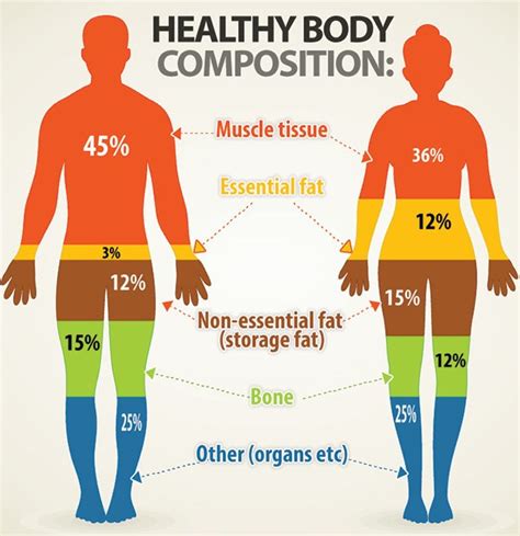 Physical Appearance and Body Composition: Nutrition and Exercise Regimen