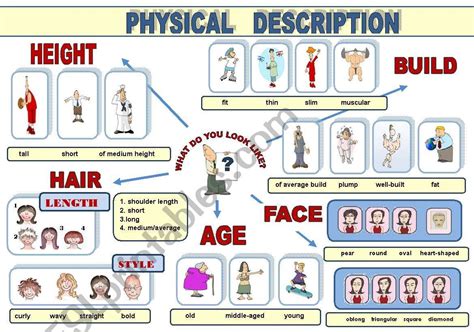 Physical Appearance and Height Overview