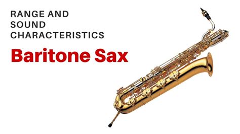 Physical Attributes of Bonita De Sax