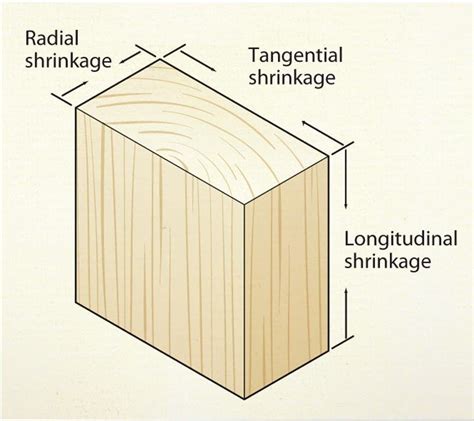 Physical Attributes of Kimber Woods