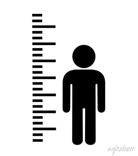 Physical Characteristics: Stature and Silhouette