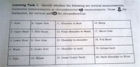 Physical Characteristics: Years Alive and Vertical Measurement