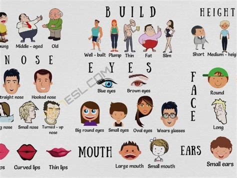 Physical Dimensions and Appearance