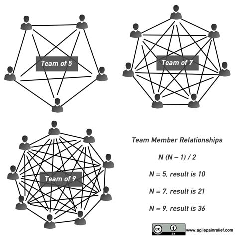 Physical Dimensions of Team Members