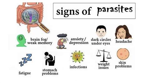 Physical Interpretation: Exploring Medical Explanations for Parasitic Intrusions within the Limb