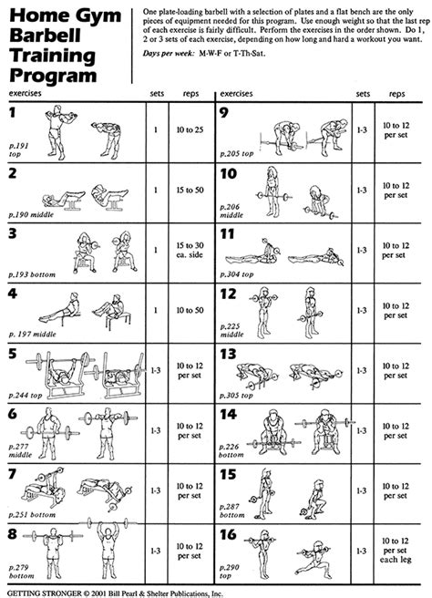 Physical Measurements and Workout Routine