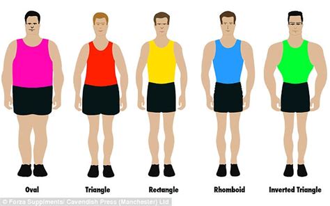 Physical Shape and Body Size