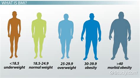 Physical Stature Overview