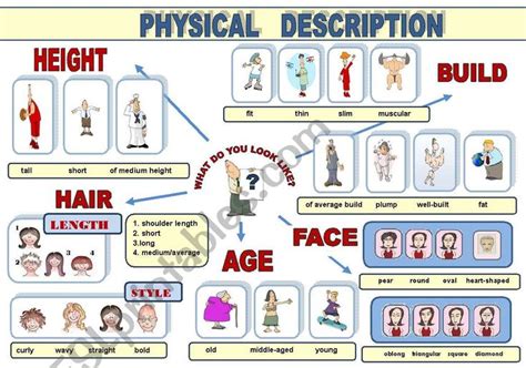 Physical Stature and Characteristics