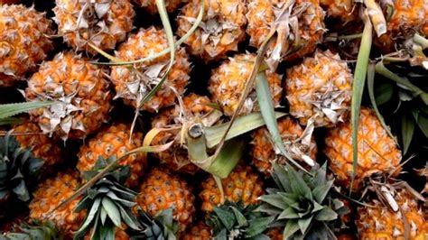 Pineapple Around the World: A Culinary Adventure across Different Cultures