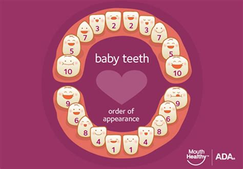 Possible Causes of Infantile Dentition