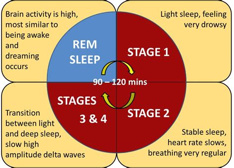 Possible Explanations for Experiencing Dreams Involving the Consumption of Timber